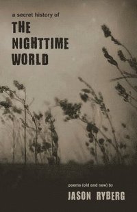 bokomslag A Secret History of the Nighttime World