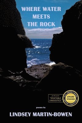 Lindsey Martin-Bowen - Where Water Meets the Rock, Häftad
