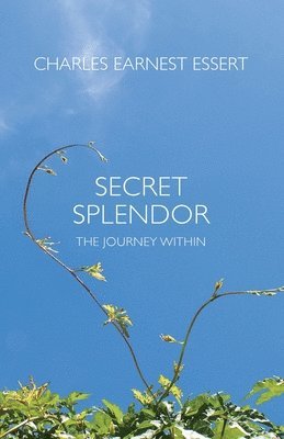 bokomslag Secret Splendor