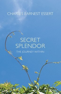 bokomslag Secret Splendor: The Journey Within