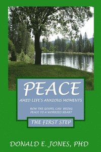 bokomslag Peace Amid Life's Anxious Moments How The Gospel Can Bring Peace To A Worried Heart The First Step