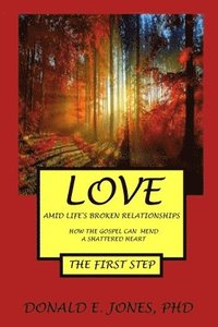 bokomslag Love Amid Life's Broken Relationships How The Gospel Can Mend A Shattered Heart The First Step