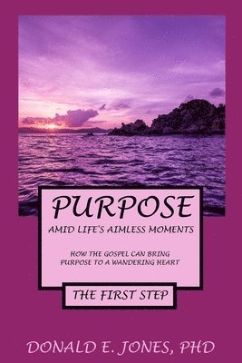 Donald E. Jones - Purpose Amid Life's Aimless Moments How The Gospel Can Bring Purpose To A Wandering Heart The First Step, Häftad