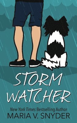 bokomslag Storm Watcher