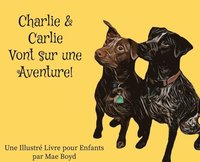 bokomslag Charlie & Carlie Vont sur une Aventure!