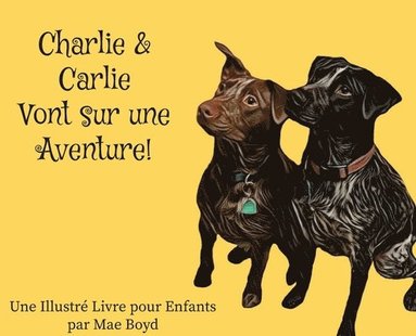 bokomslag Charlie & Carlie Vont sur une Aventure!