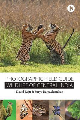 bokomslag Wildlife of Central India: Photographic Field Guide