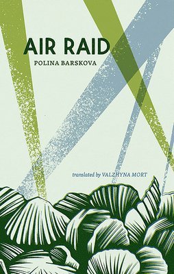 bokomslag Air Raid