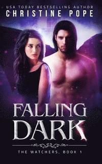 bokomslag Falling Dark