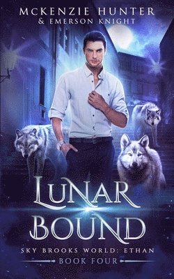 Lunar Bound 1