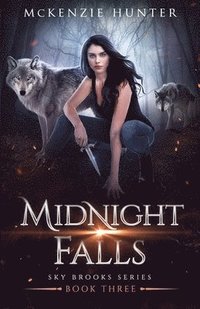 bokomslag Midnight Falls