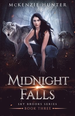 Midnight Falls 1