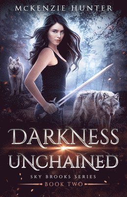 bokomslag Darkness Unchained