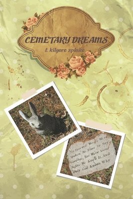 T. Kilgore Splake - cemetery dreams, Häftad