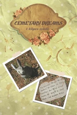cemetery dreams 1