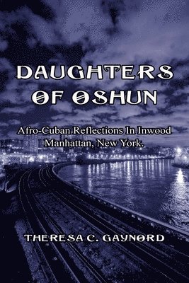 bokomslag Daughters of Oshun