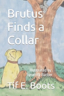 Brutus Finds a Collar 1