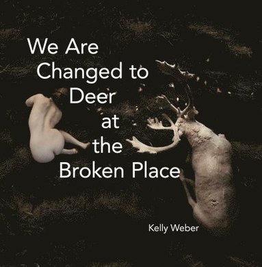 bokomslag We Are Changed to Deer at the Broken Place