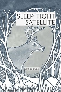 bokomslag Sleep Tight Satellite