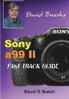 bokomslag DAVID BUSCH'S Sony Alpha a99 II FAST TRACK GUIDE