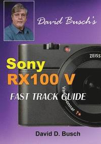 bokomslag DAVID BUSCH'S Sony Cyber-shot DSC-RX100 V FAST TRACK GUIDE