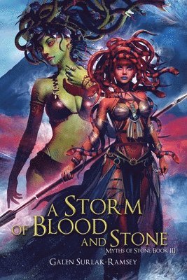 bokomslag A Storm of Blood and Stone