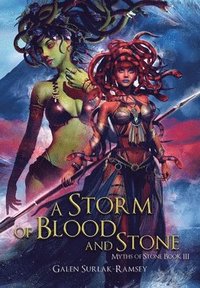 bokomslag A Storm of Blood and Stone