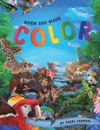 bokomslag When God Made Color