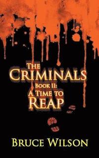 bokomslag The Criminals - Book II
