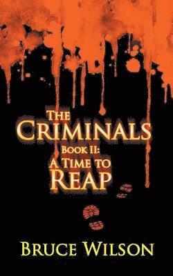 bokomslag The Criminals - Book II