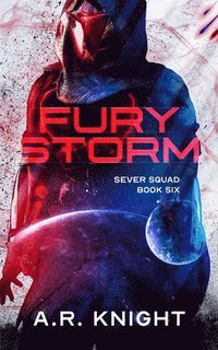 bokomslag Fury Storm