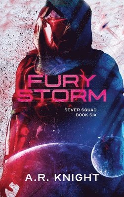 bokomslag Fury Storm