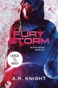 bokomslag Fury Storm