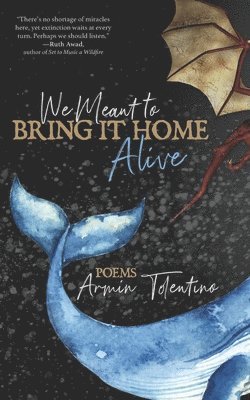Armin Tolentino, Alternating Current - We Meant to Bring It Home Alive, Häftad