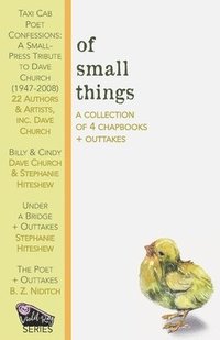 bokomslag Of Small Things