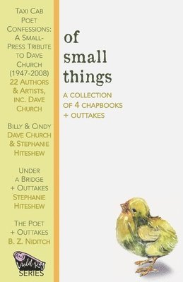Stephanie Hiteshew, B Z Niditch, Alternating Current - Of Small Things, Häftad