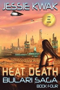 bokomslag Heat Death