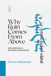 bokomslag Why Rain Comes from Above: Explorations in Religious Imagination