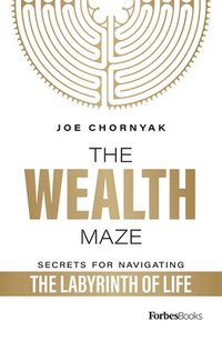 bokomslag Wealth Maze
