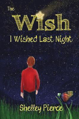 bokomslag Wish I Wished Last Night