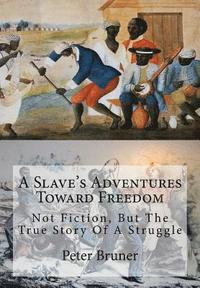 bokomslag A Slave's Adventures Toward Freedom
