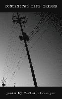 Victor Clevenger - Congenital Pipe Dreams, Häftad