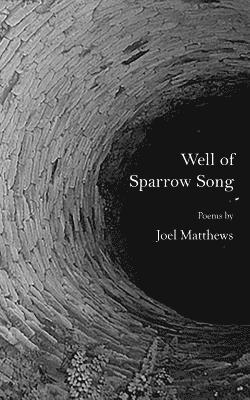 bokomslag Well of Sparrow Song