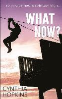 What Now?: so you had a spiritual high... 1