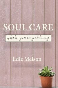 bokomslag Soul Care When You're Grieving