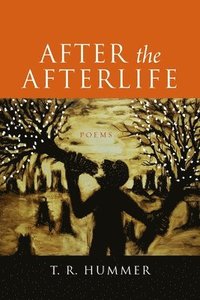 bokomslag After the Afterlife - Poems