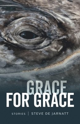 bokomslag Grace for Grace - Stories