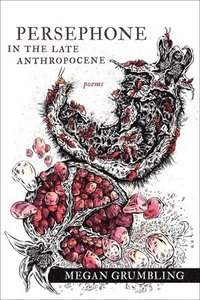 bokomslag Persephone in the Late Anthropocene - Poems