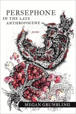 bokomslag Persephone in the Late Anthropocene - Poems