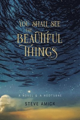 You Shall See the Beautiful Things – A Novel & A Nocturne